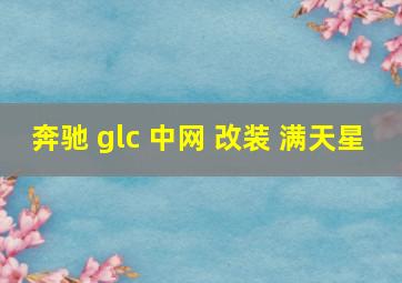 奔驰 glc 中网 改装 满天星